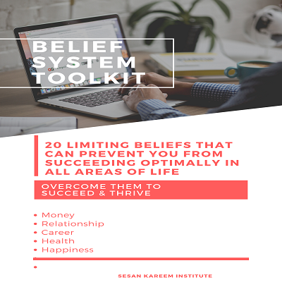 BELIEF SYSTEM TOOLKIT